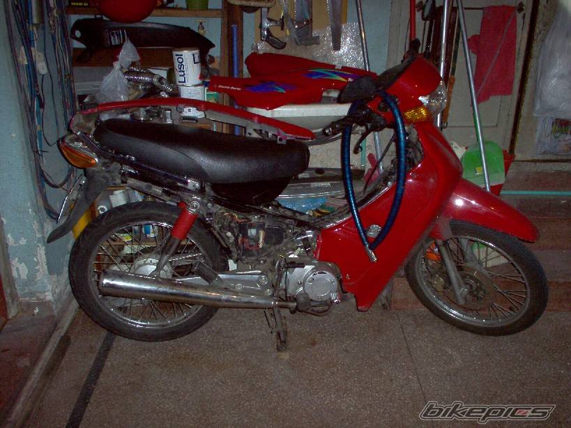 Photo 219628