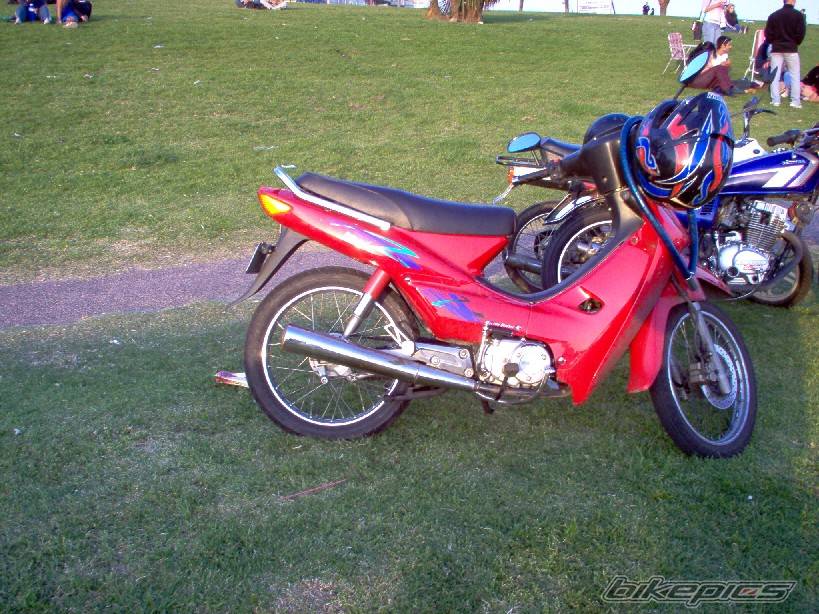 Photo 219630