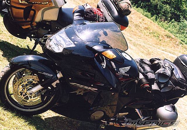 Photo 219638