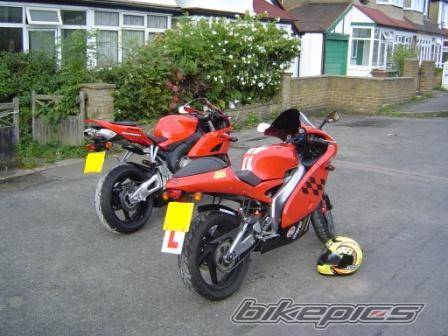 Photo 219639