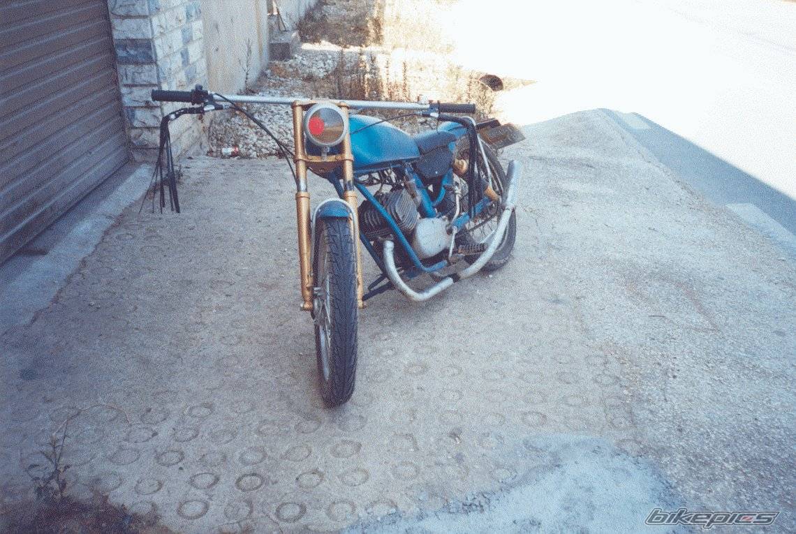 Photo 219642