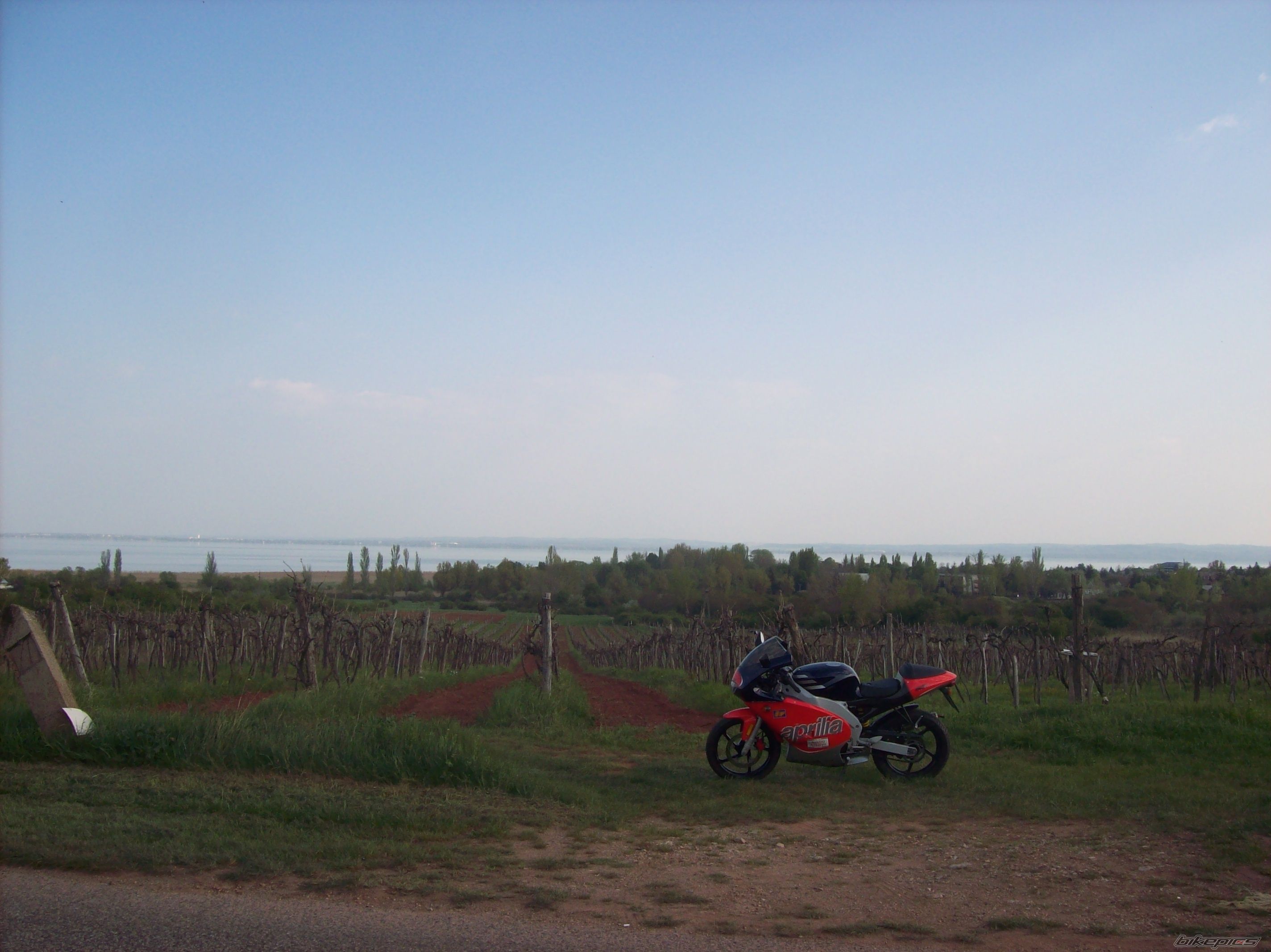 Photo 2196572