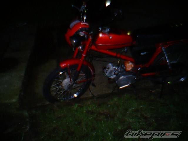 Photo 219658