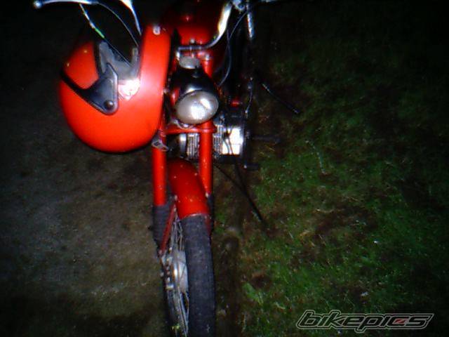 Photo 219660