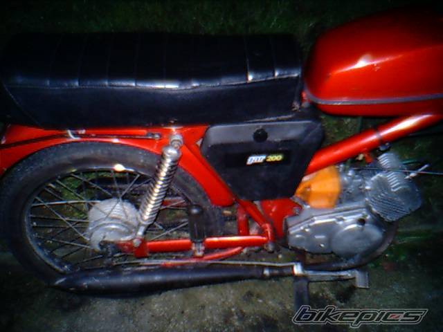 Photo 219661