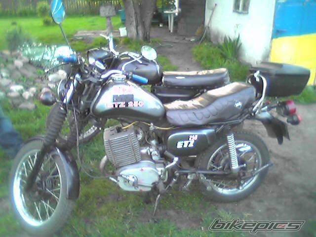 Photo 219671