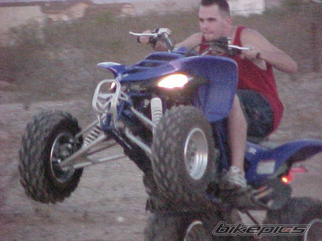 Photo 219676