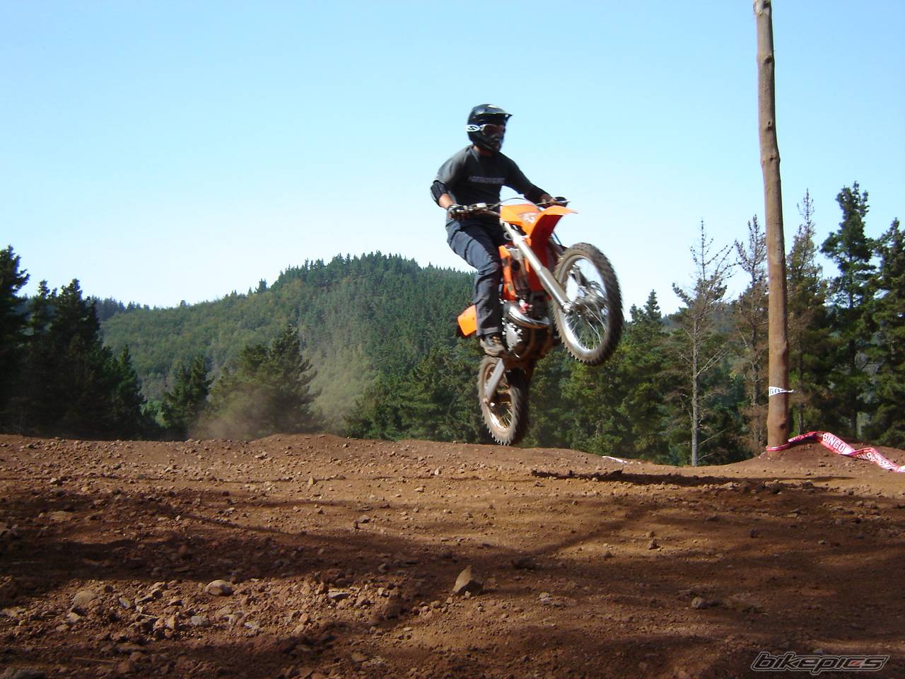 Photo 219699