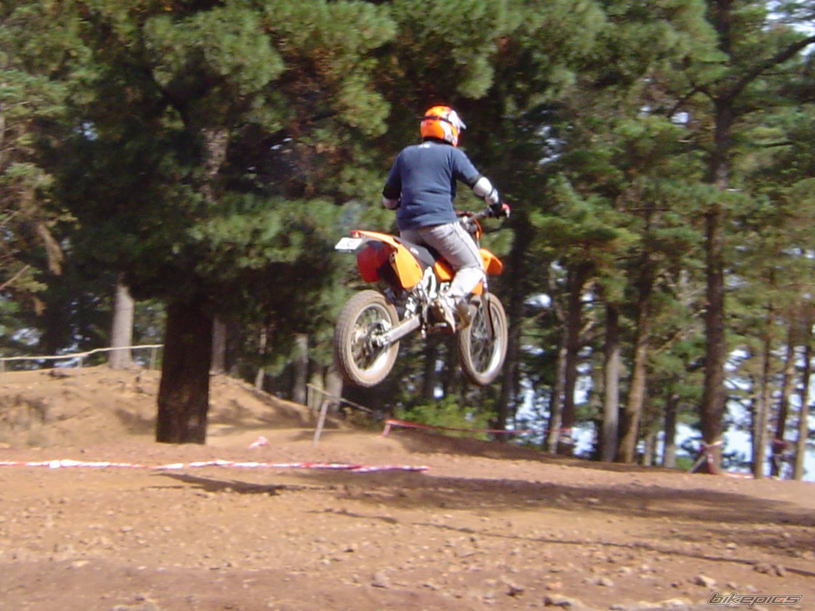 Photo 219701