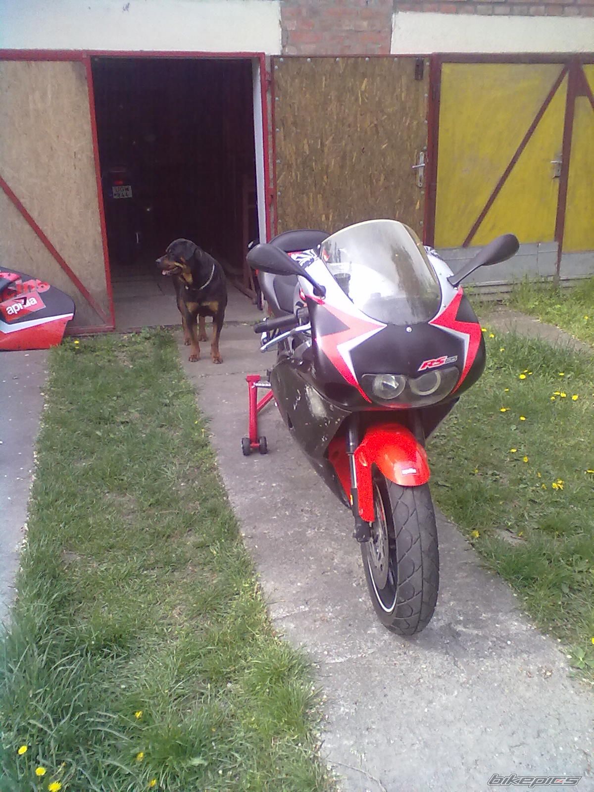 Photo 2197034