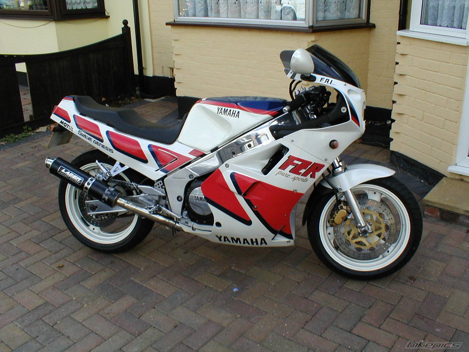 Photo 219710