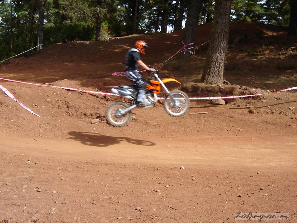 Photo 219719