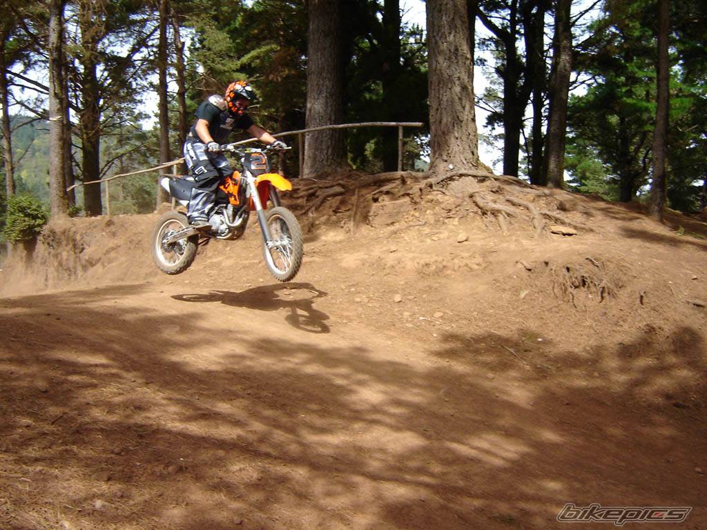 Photo 219720