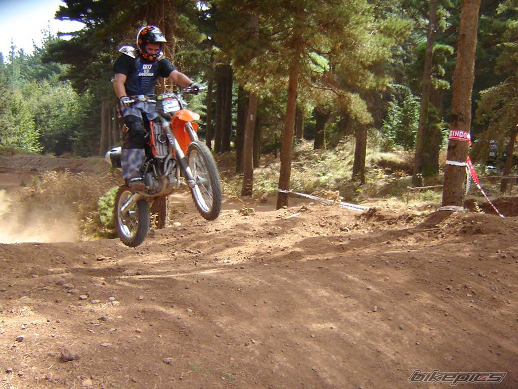 Photo 219721