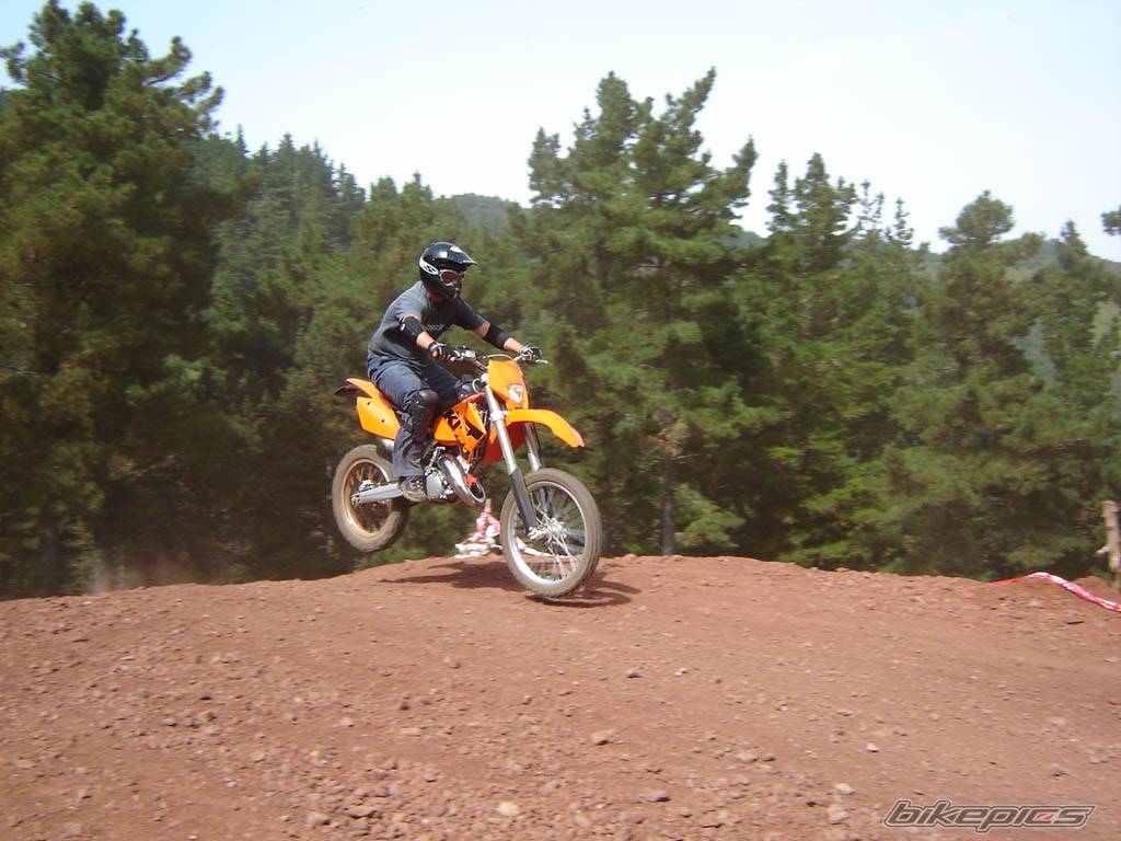 Photo 219722