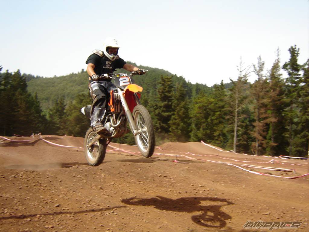 Photo 219734