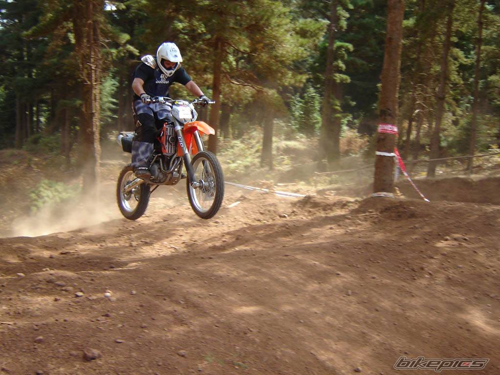 Photo 219735