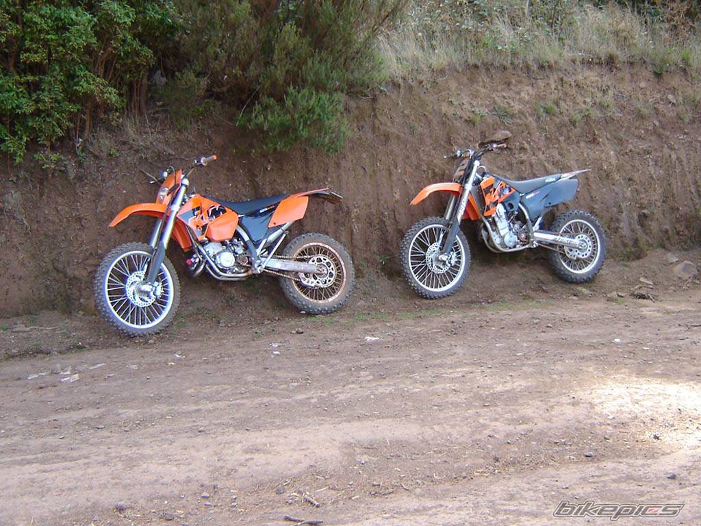 Photo 219736