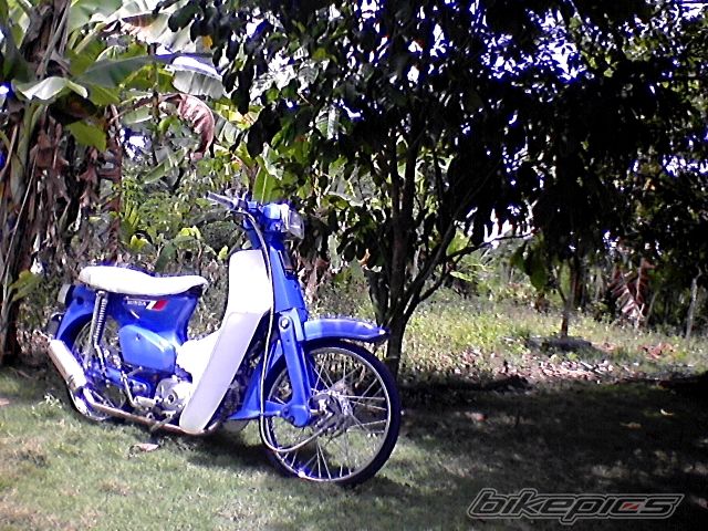 Photo 2197424