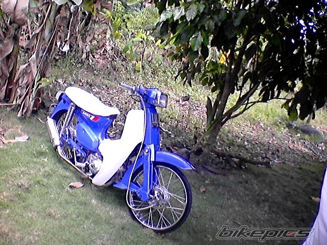 Photo 2197435