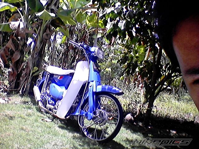 Photo 2197438
