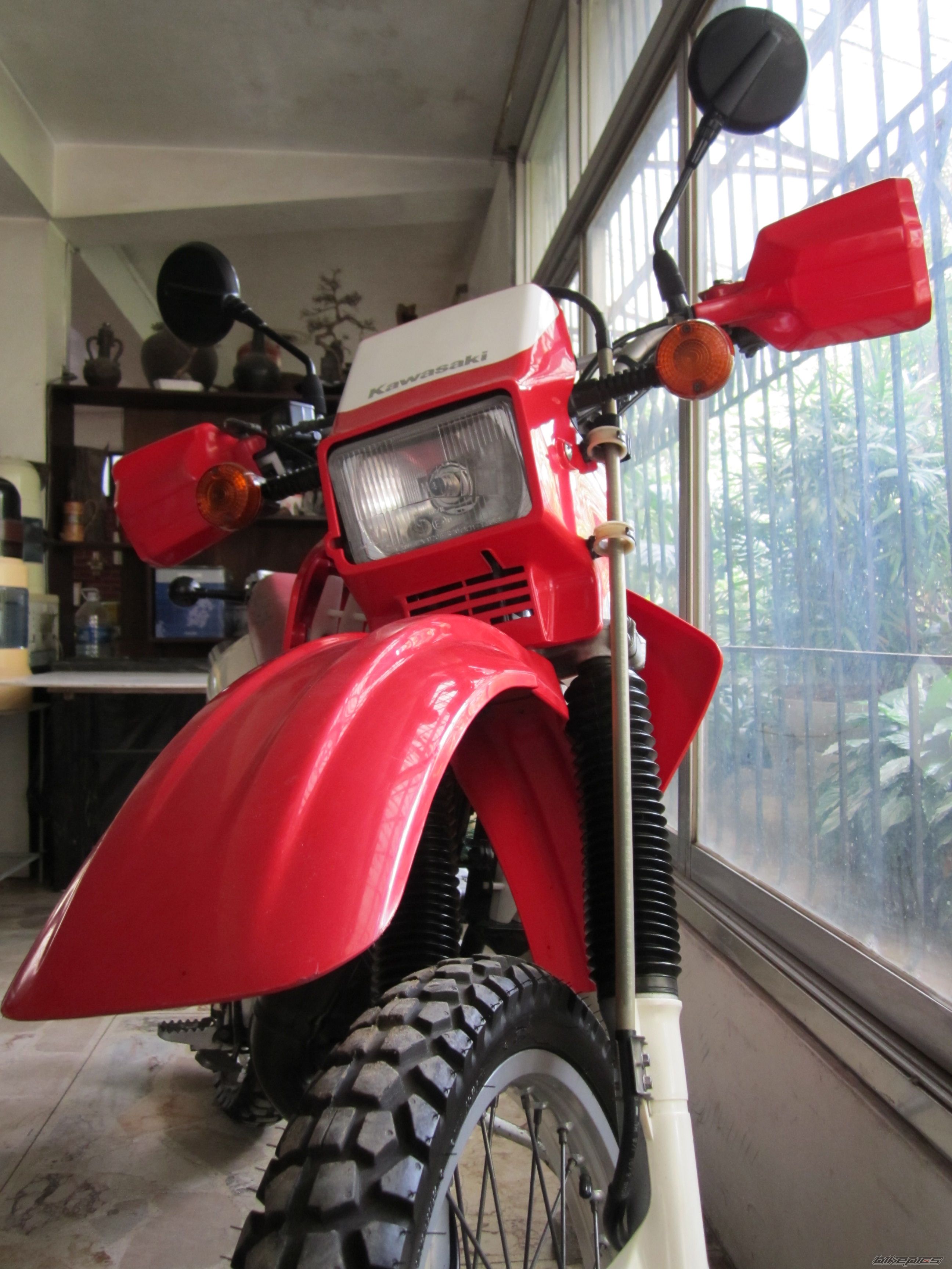 Bike Photo 2197452
