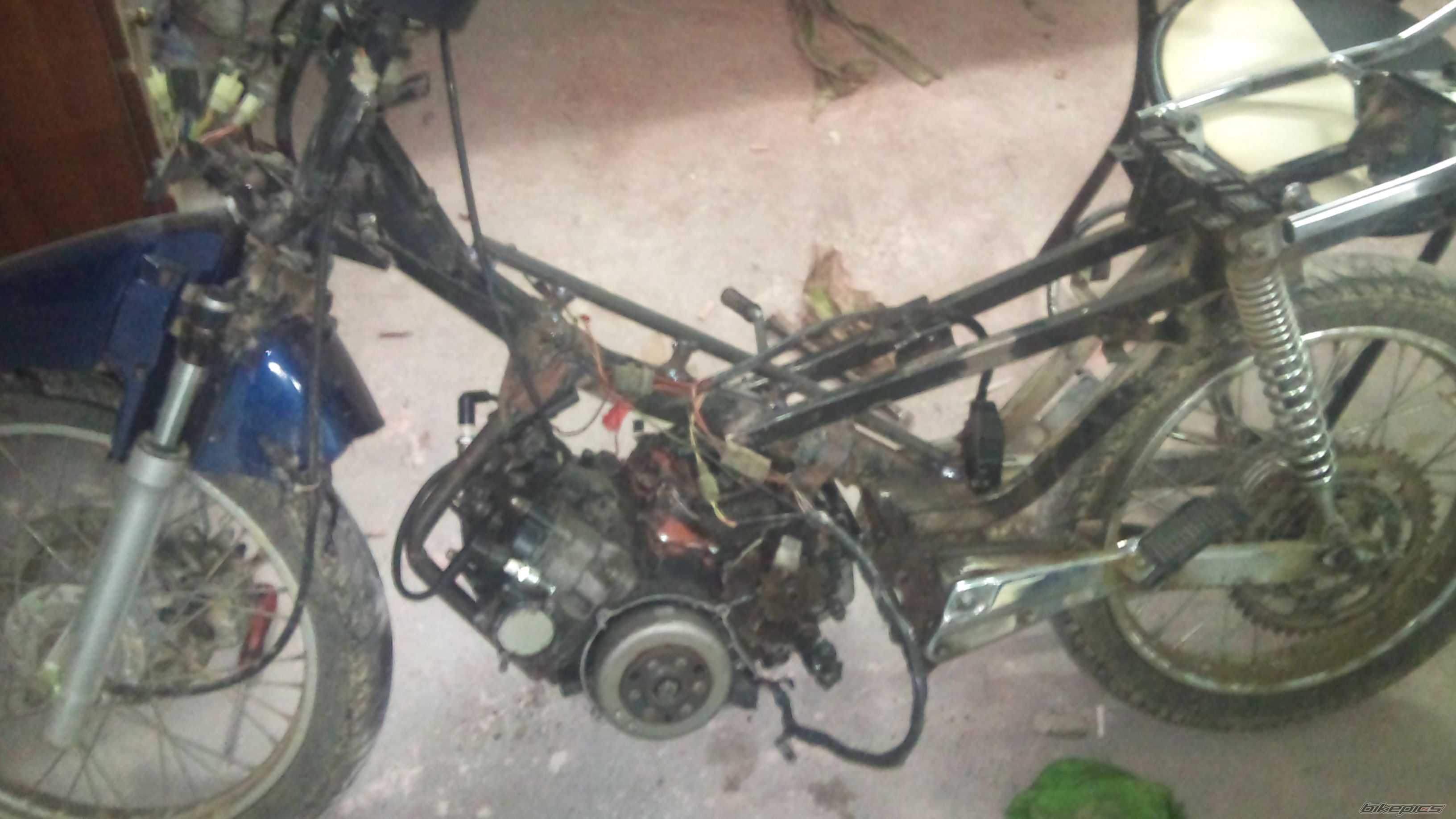 Bike Photo 2197473