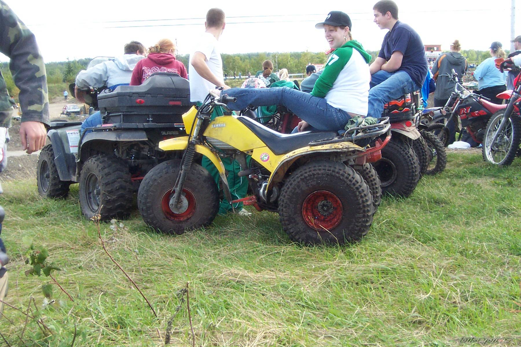 Photo 219762