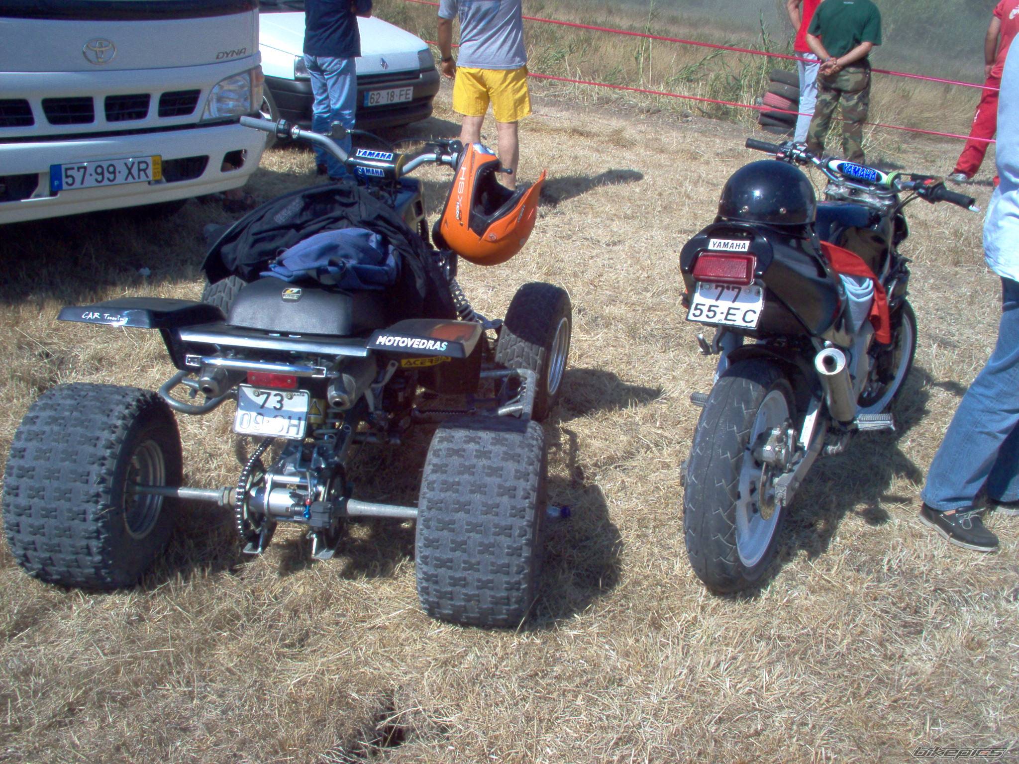Photo 219771