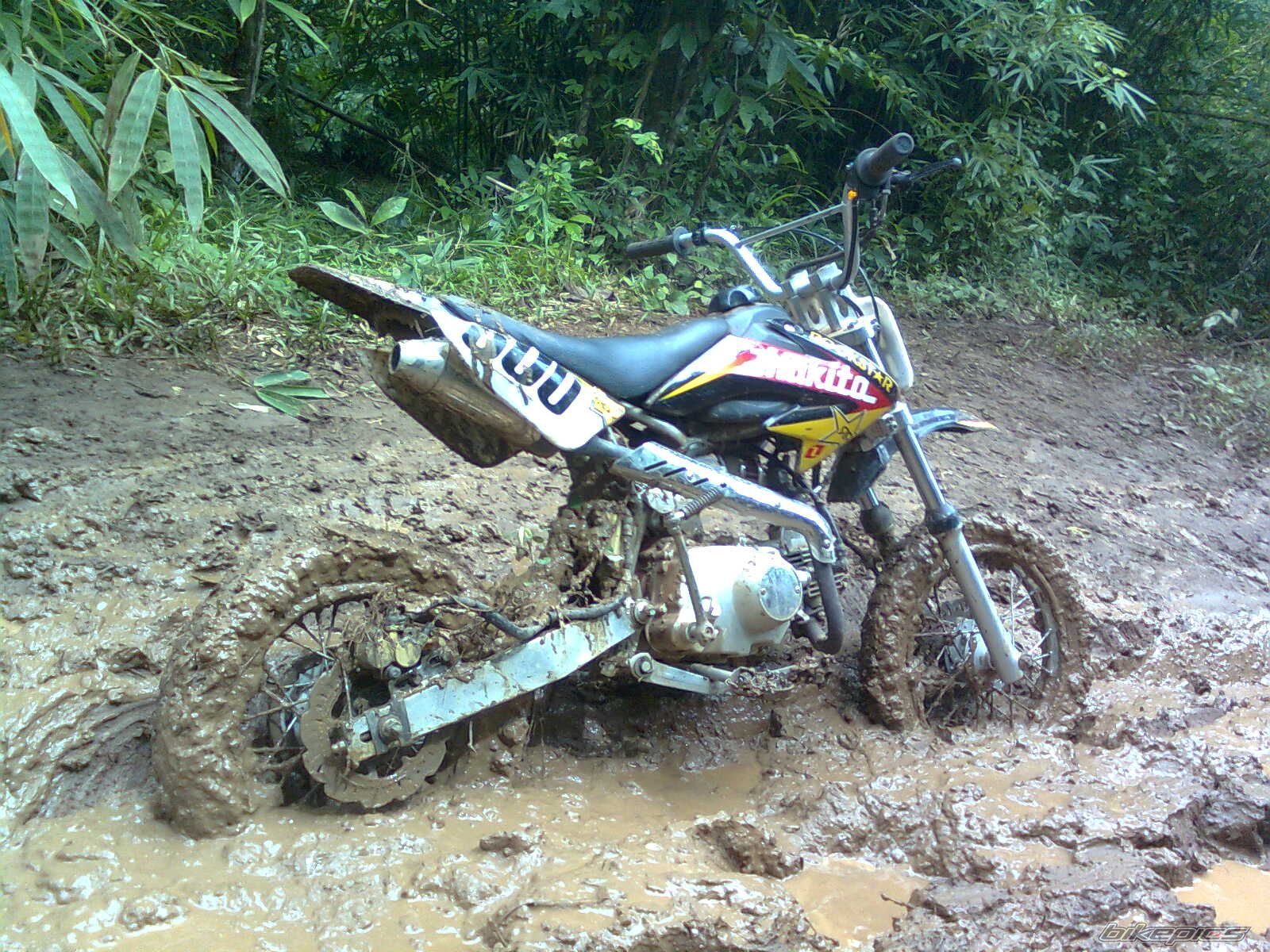 Photo 2197710