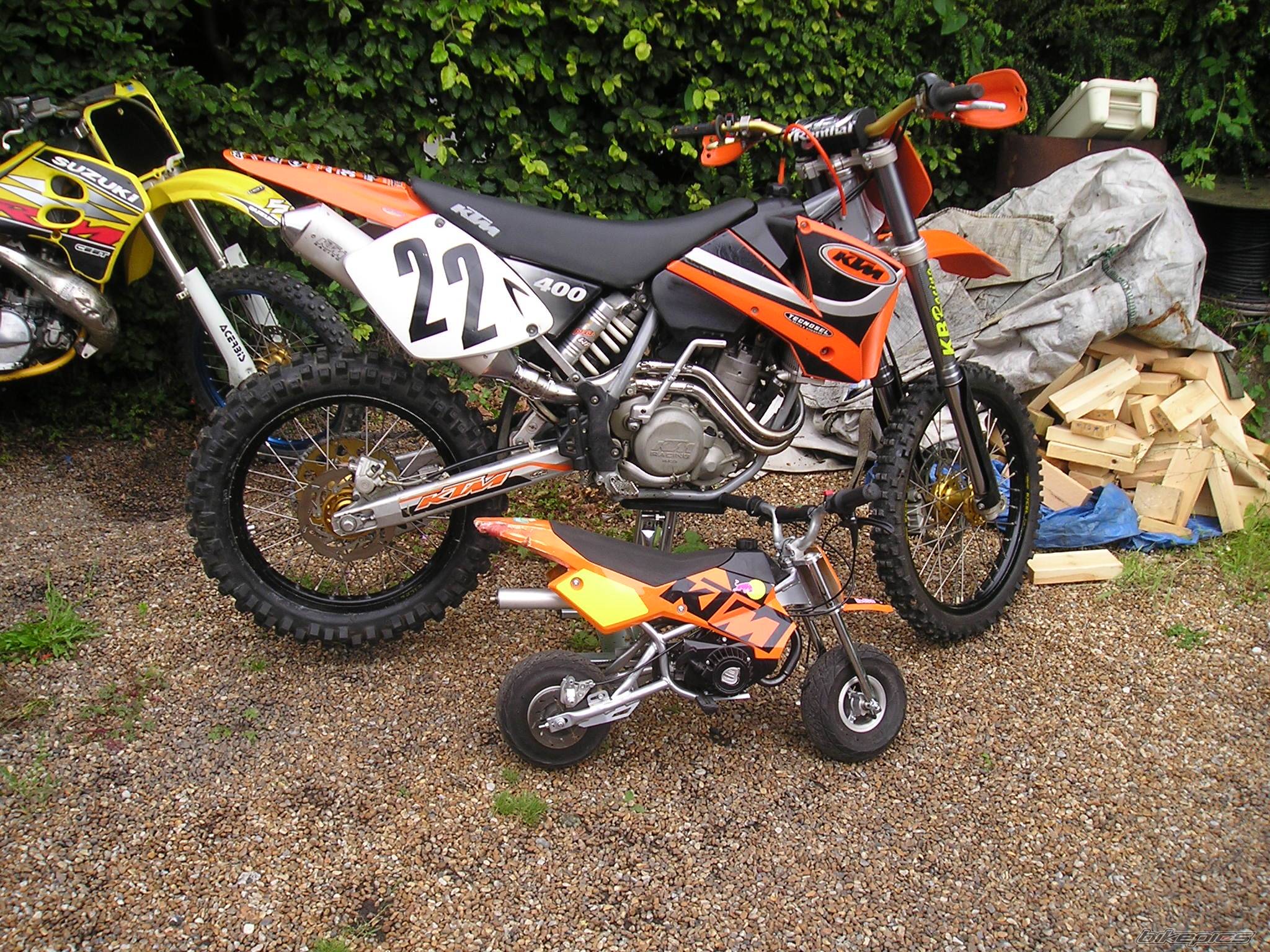 Photo 219781