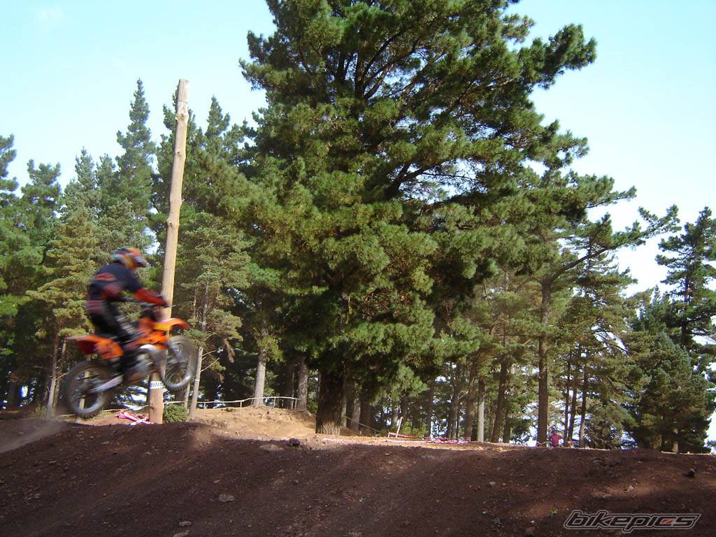 Photo 219782