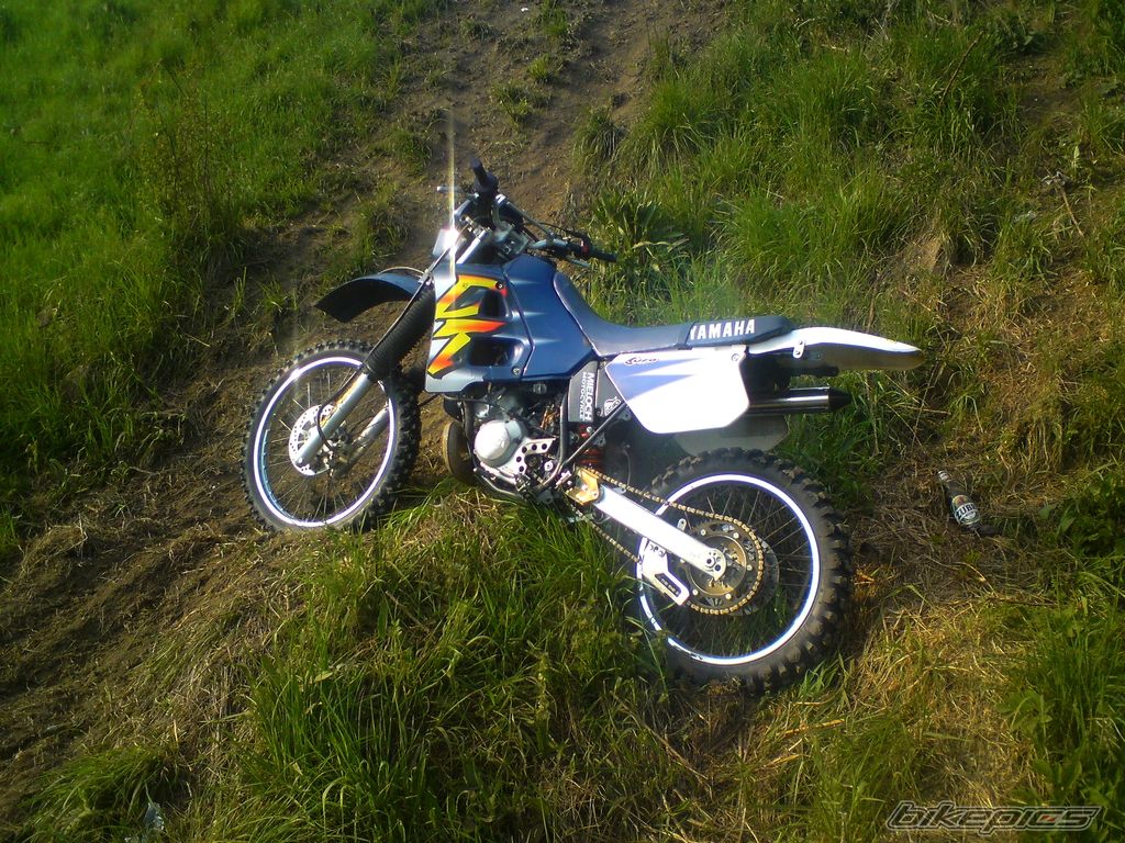 Photo 2197826