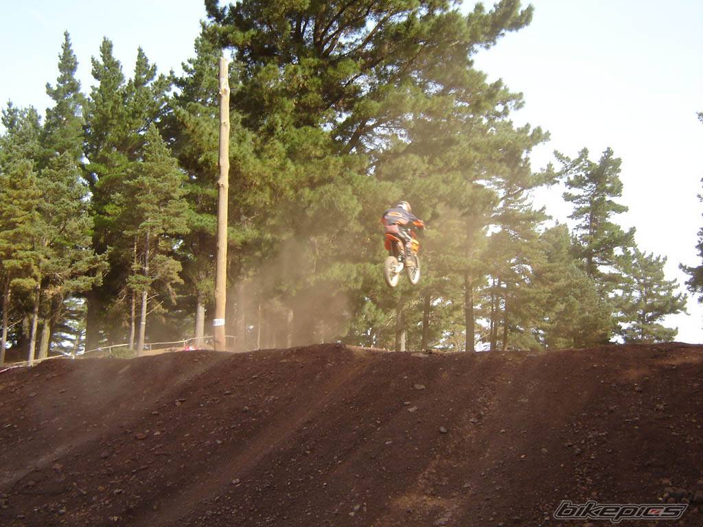 Photo 219783
