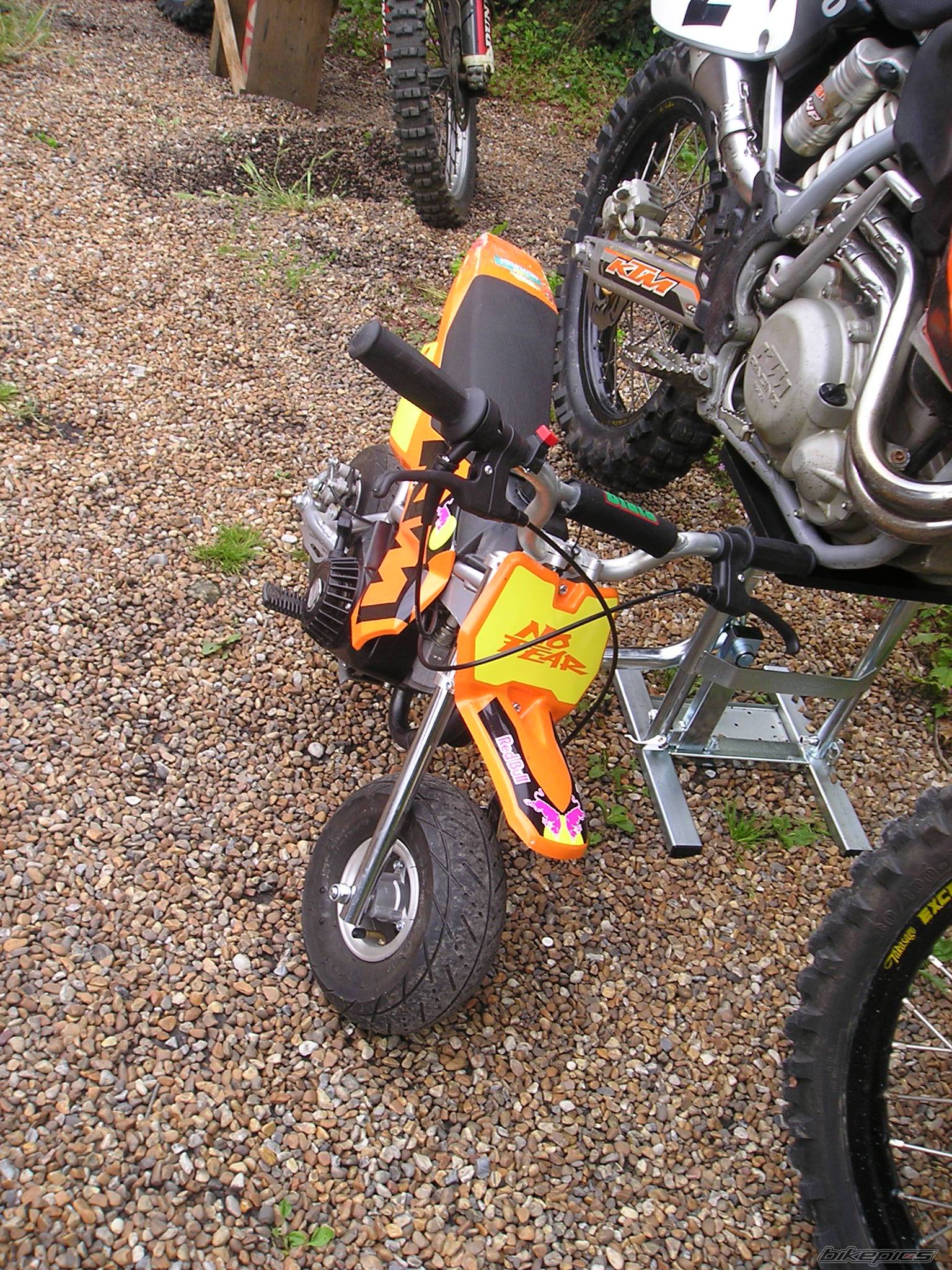 Photo 219788