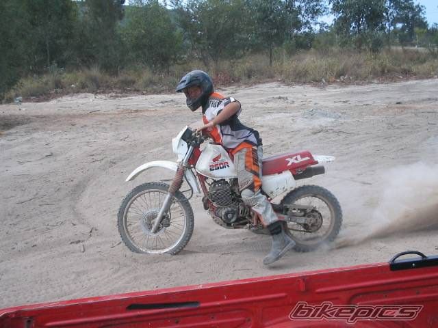 Photo 219789