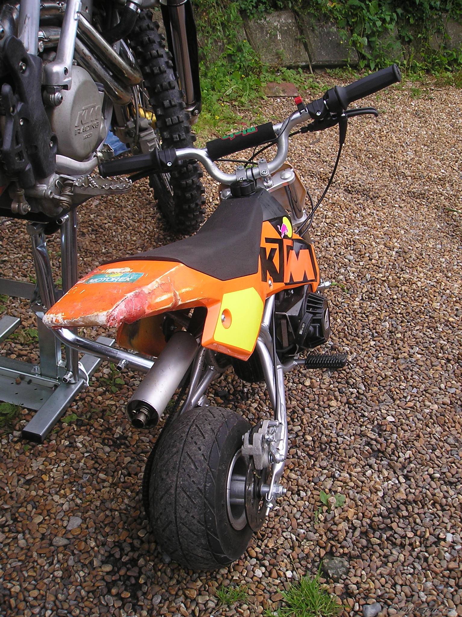 Photo 219794