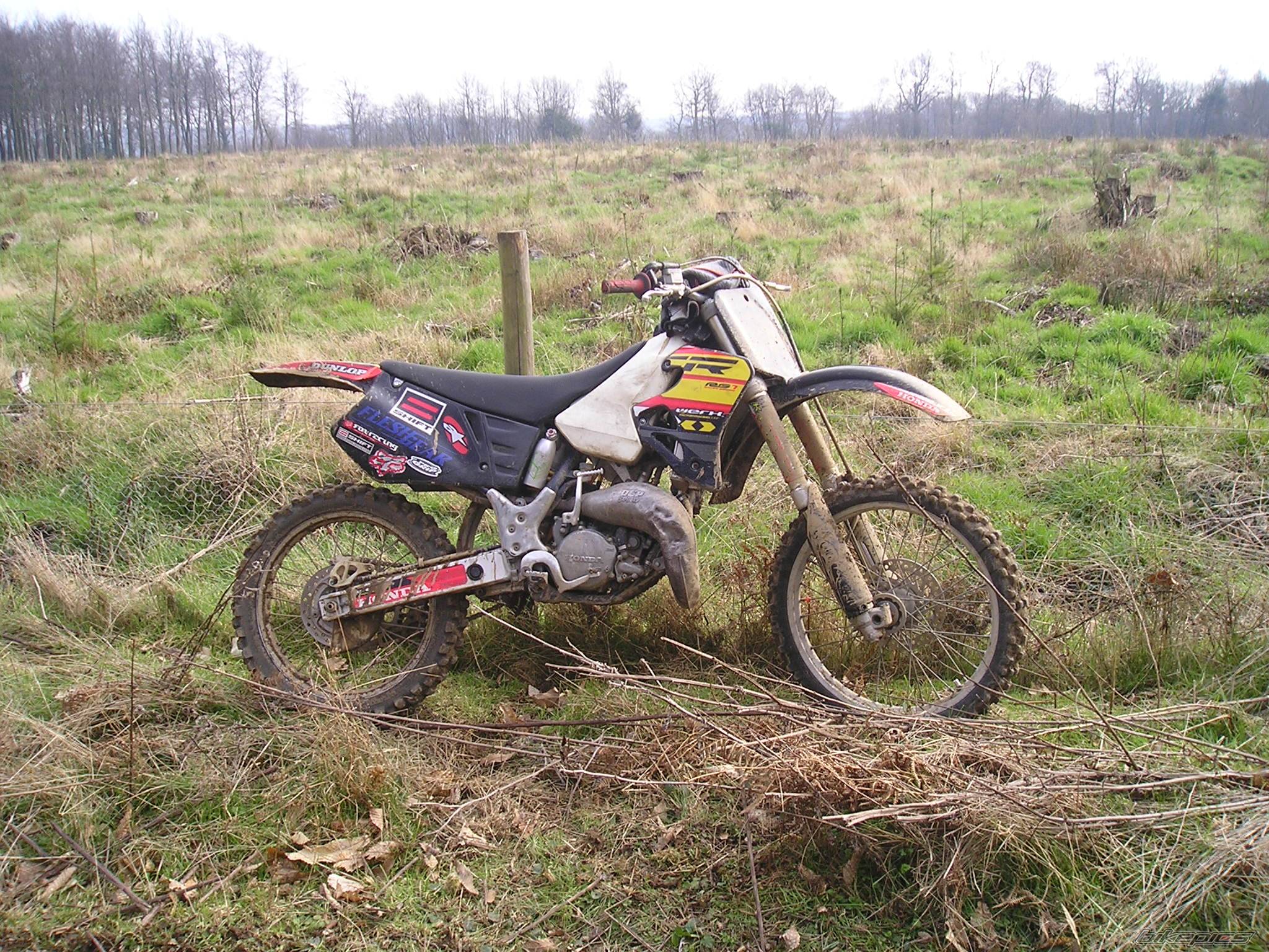 Photo 219796