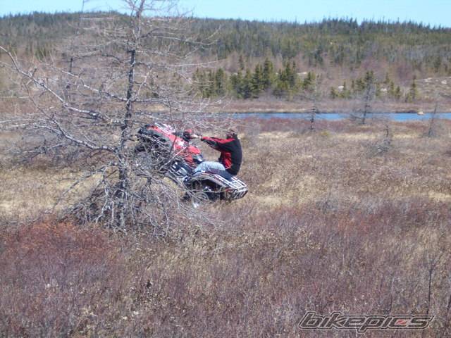 Photo 219821