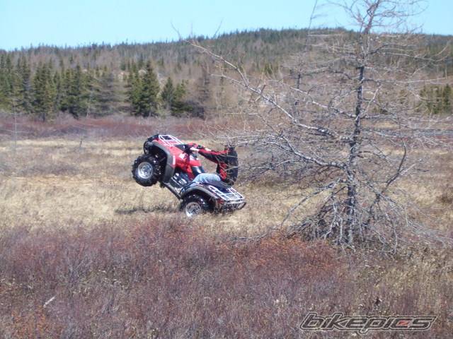 Photo 219823