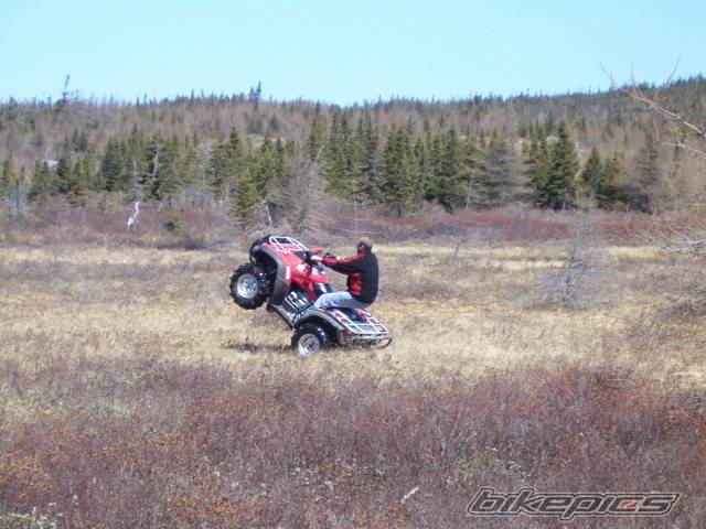 Photo 219825