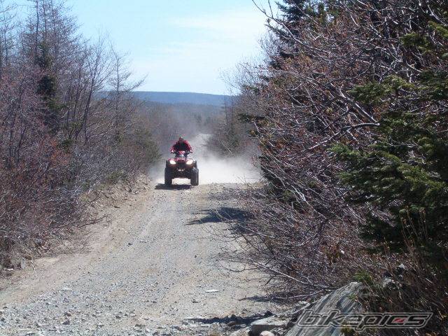 Photo 219829