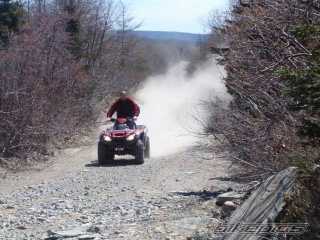 Photo 219832