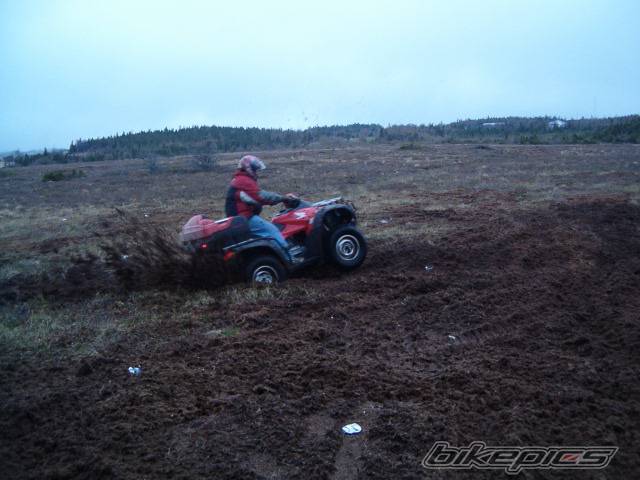 Photo 219834