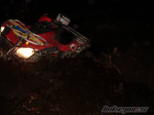 Photo 219843