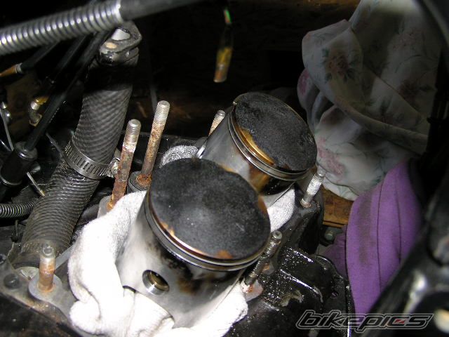 Photo 2198435
