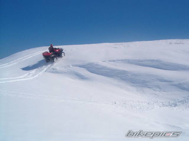 Photo 219844