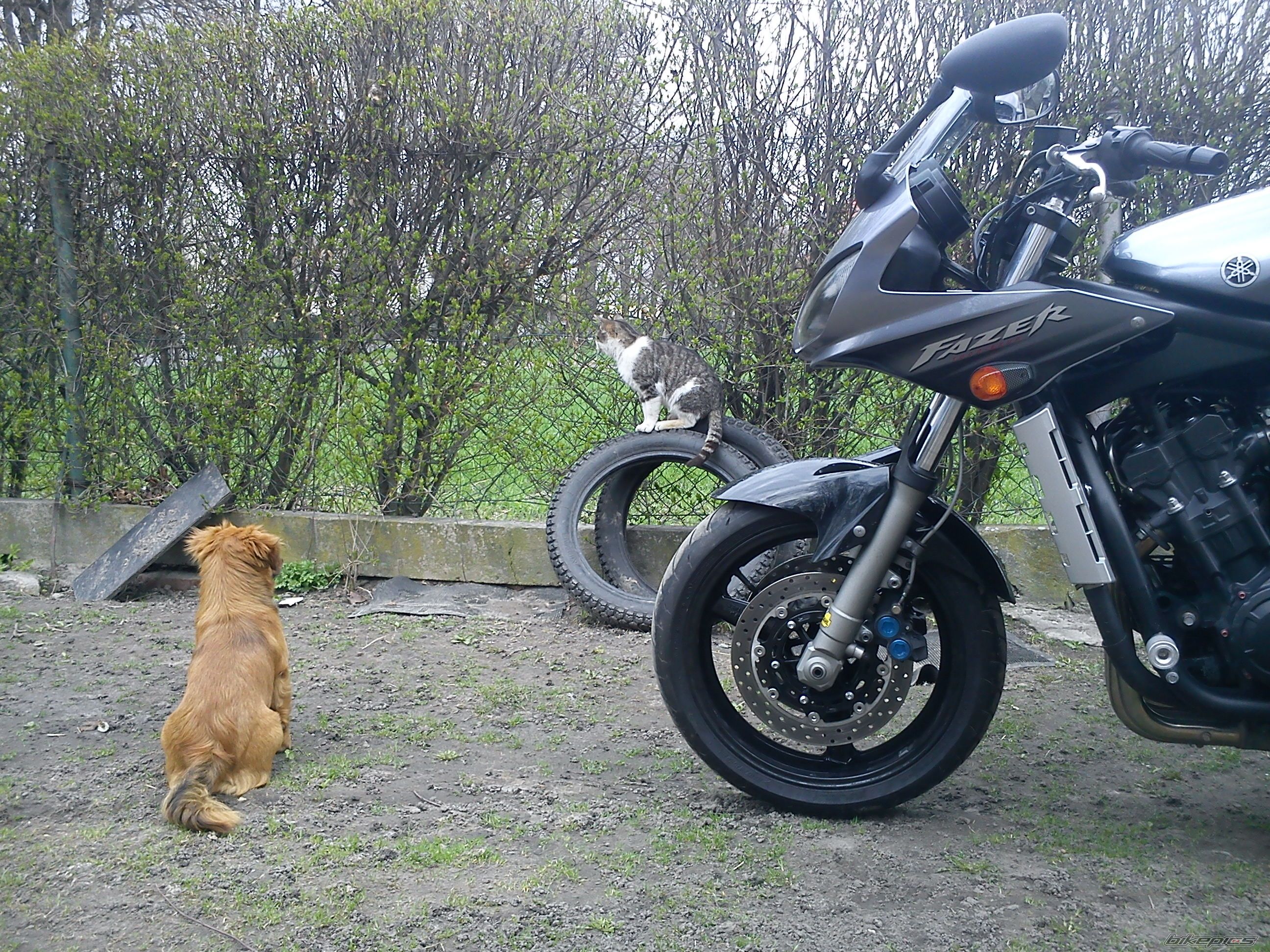 Bike Photo 2198448
