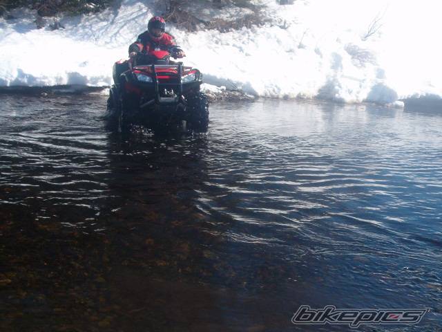 Photo 219850