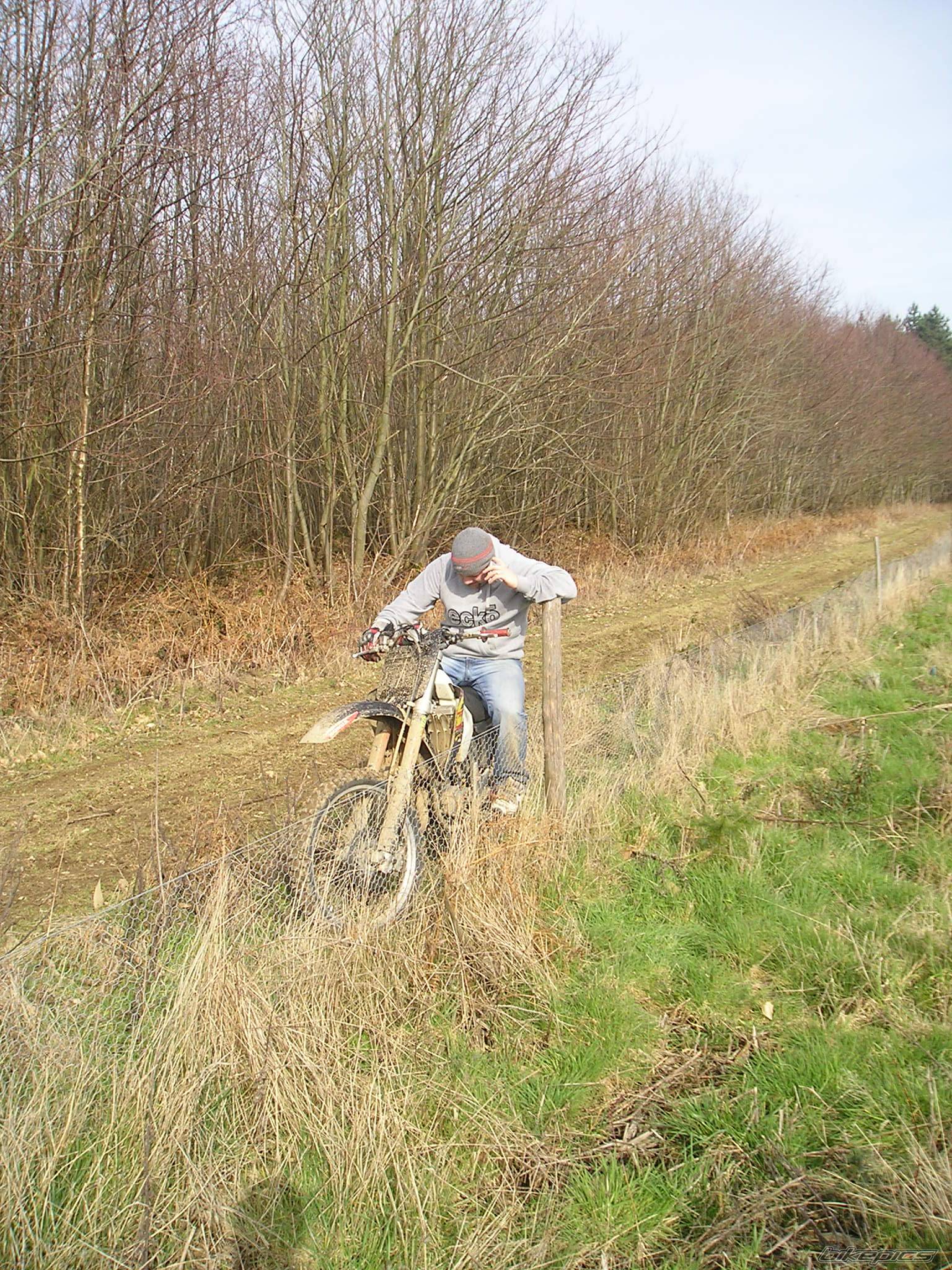 Photo 219854